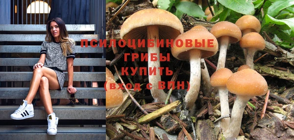 бутират Ростов