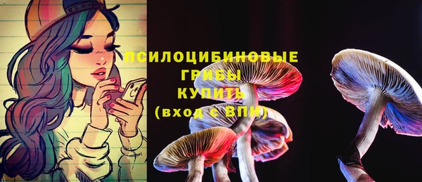 PSILOCYBIN Протвино