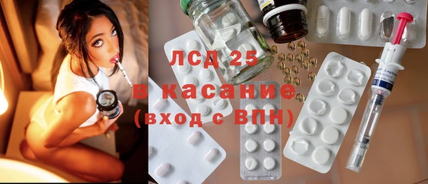 ПСИЛОЦИБИНОВЫЕ ГРИБЫ Тавда