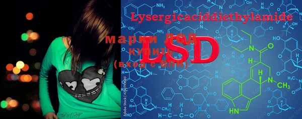 PSILOCYBIN Протвино