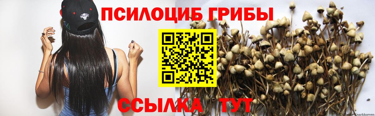 Канабис  ЭКСТАЗИ  МЕФ   Гашиш  COCAIN  Сертолово  Гашиш  Каннабис  Вход с VPN 
